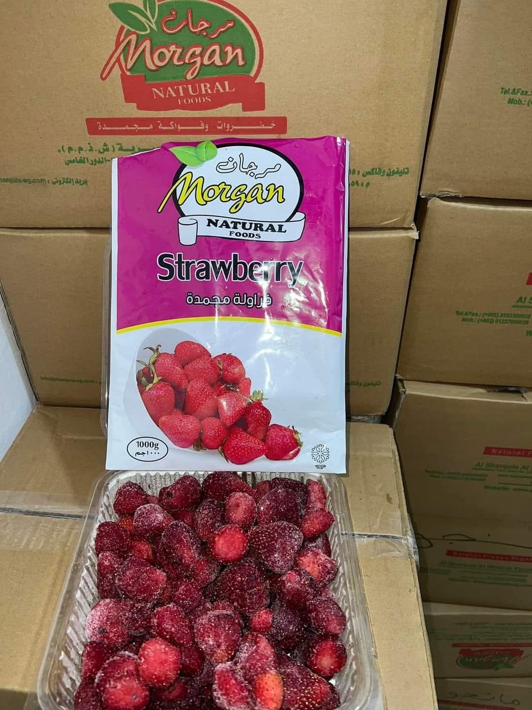 صورة من المعرض