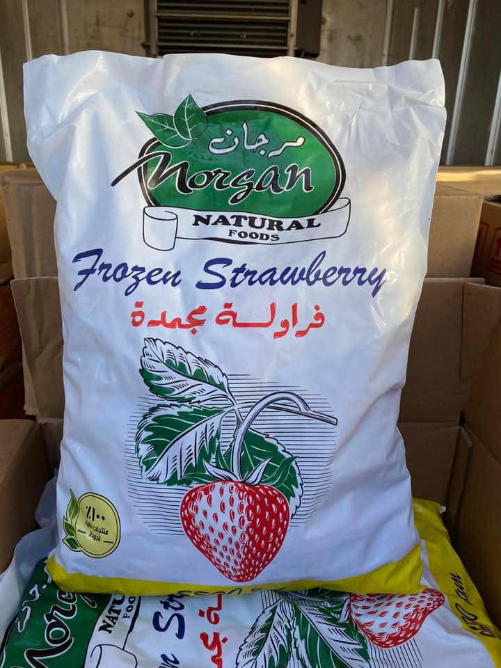 نبذة عن مرجان الحديث